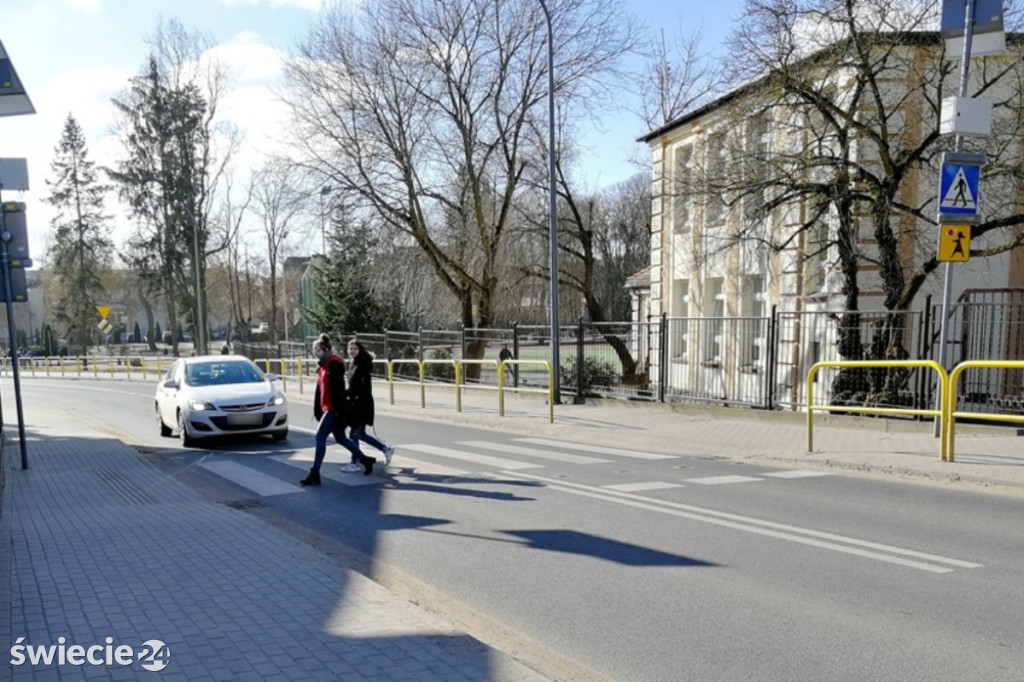 Tylko łosie mają w nosie przepisy