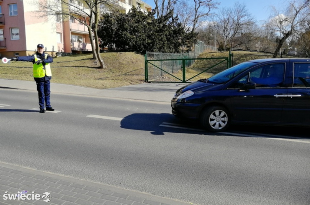 Tylko łosie mają w nosie przepisy