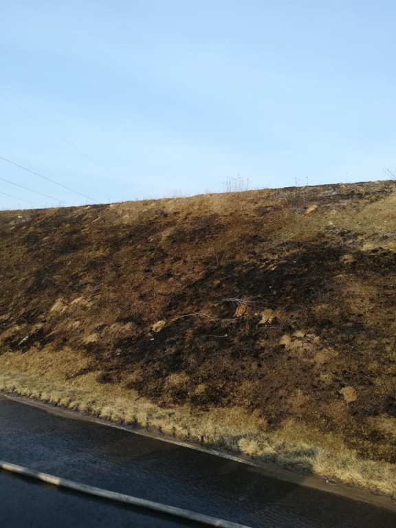 Płonące trawy na nasypie autostrady