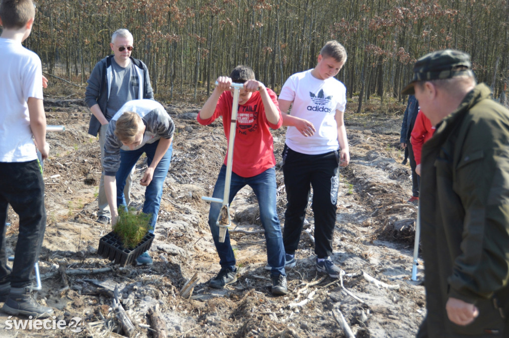 Uczniowie posadzili 5000 nowych drzew