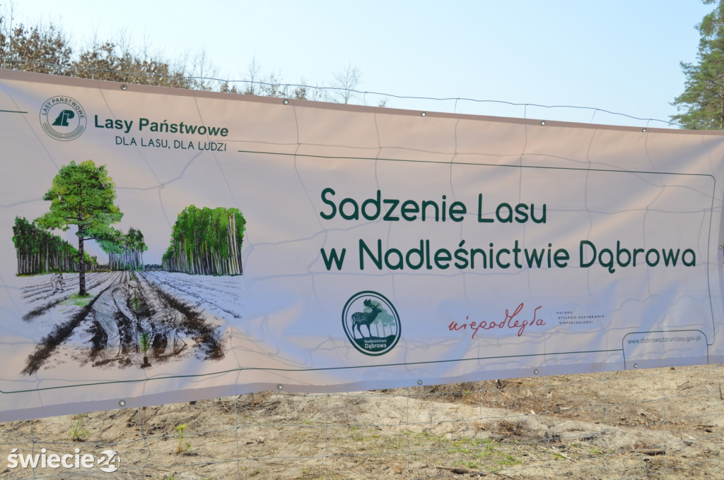 Uczniowie posadzili 5000 nowych drzew