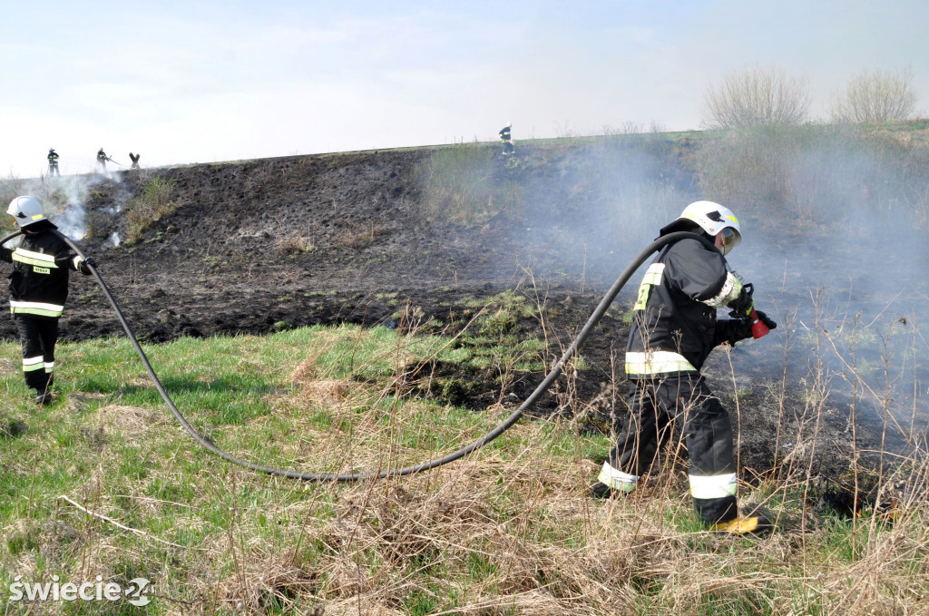 Gaszenie trawy w Przechowie