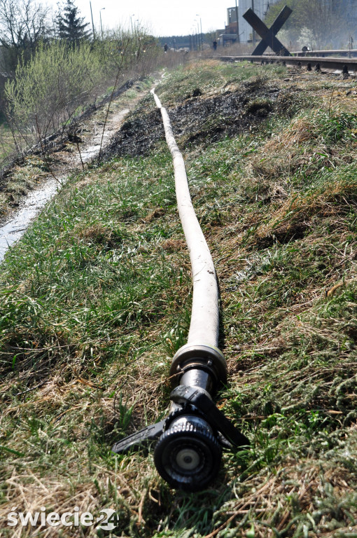 Gaszenie trawy w Przechowie
