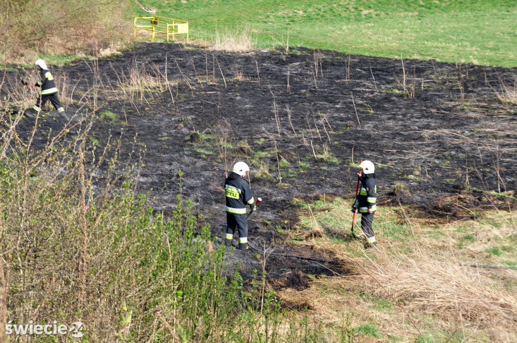 Gaszenie trawy w Przechowie