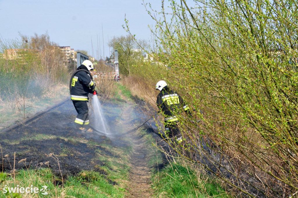 Gaszenie trawy w Przechowie