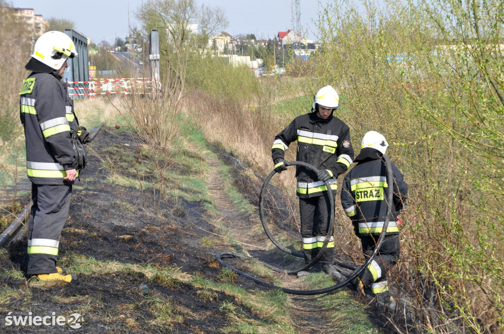 Gaszenie trawy w Przechowie