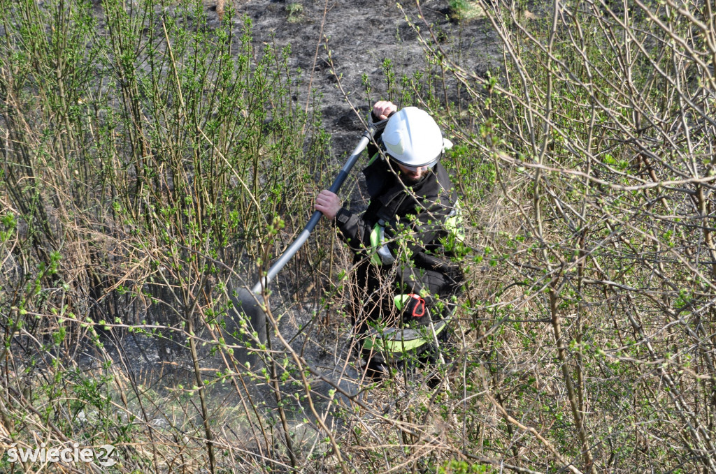 Gaszenie trawy w Przechowie