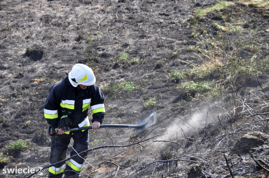 Gaszenie trawy w Przechowie
