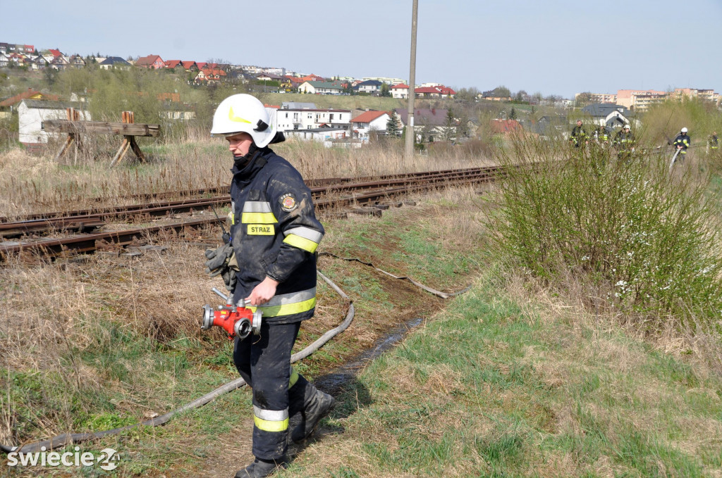 Gaszenie trawy w Przechowie