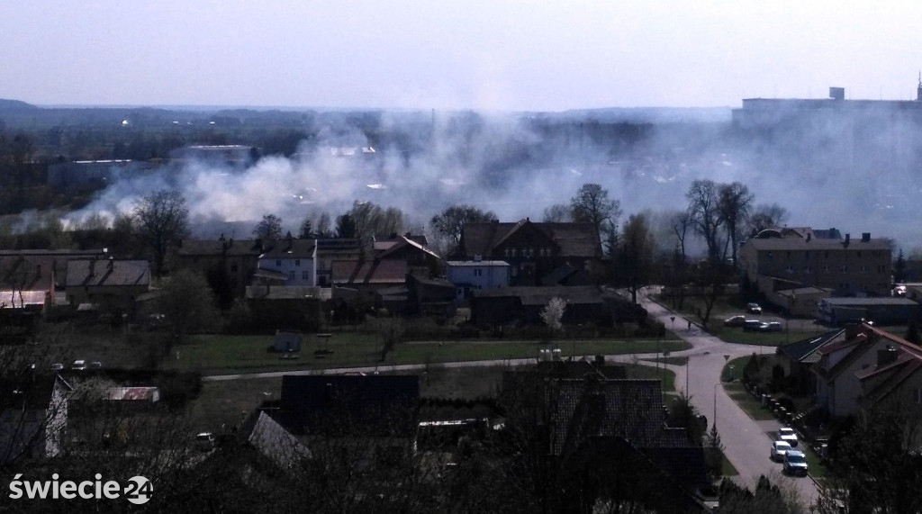 Gaszenie trawy w Przechowie