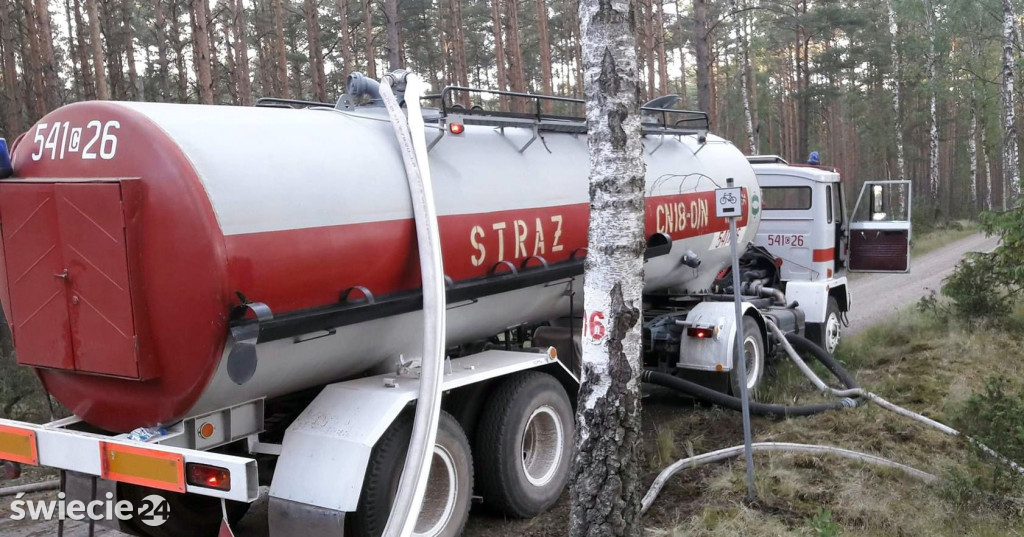 Zdjęcia z pożaru lasu w Starej Rzece