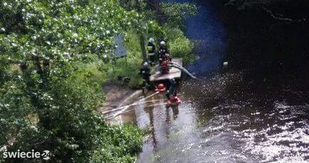 Zdjęcia z pożaru lasu w Starej Rzece