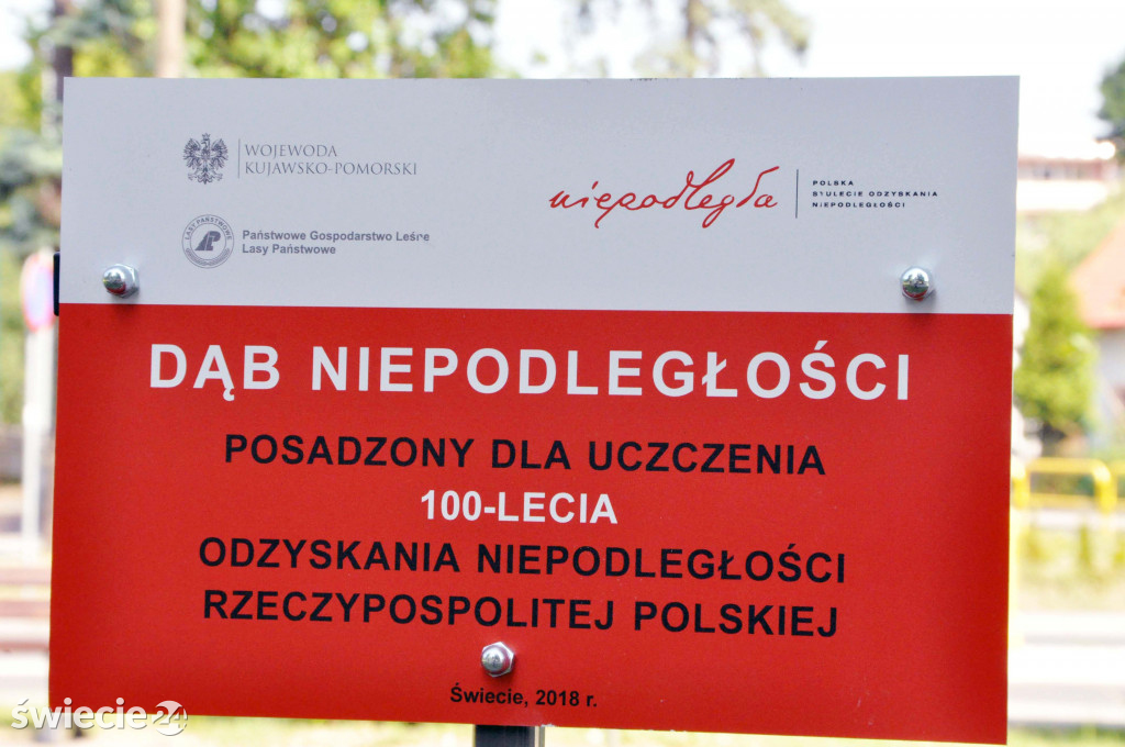 Posadzili dęby niepodległości