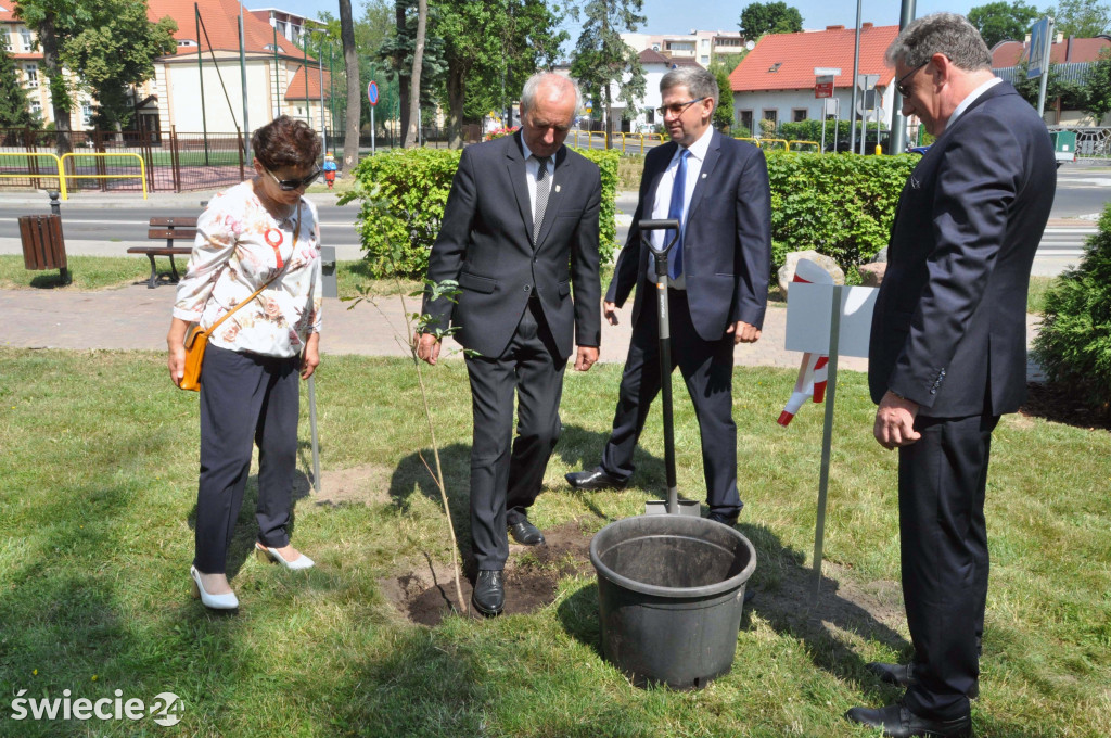 Posadzili dęby niepodległości