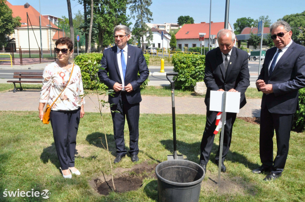 Posadzili dęby niepodległości