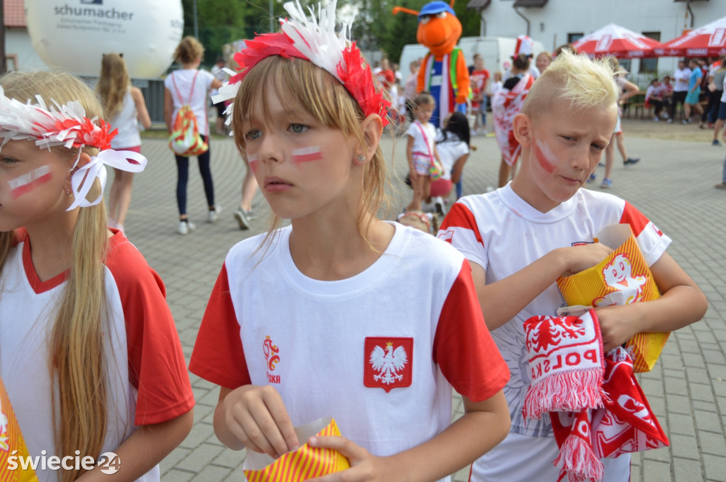Tłum kibiców zawiedziony grą Polaków