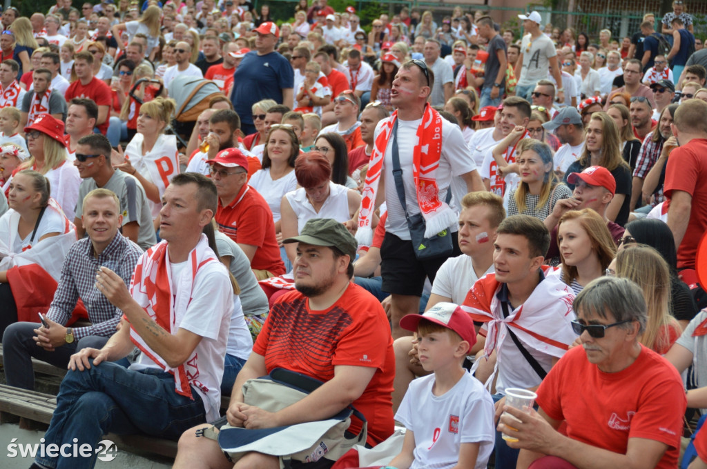 Tłum kibiców zawiedziony grą Polaków