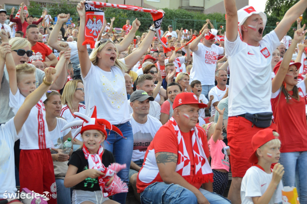 Tłum kibiców zawiedziony grą Polaków