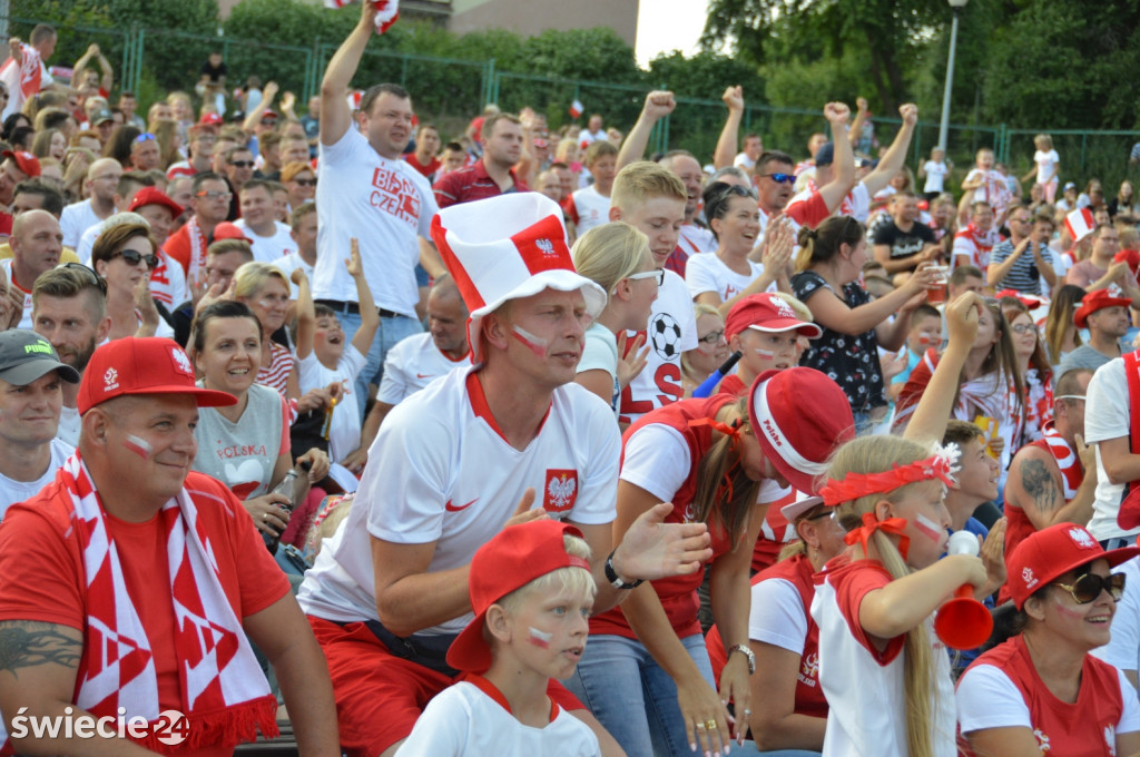 Tłum kibiców zawiedziony grą Polaków