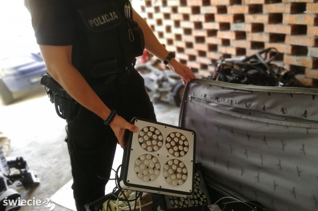 Znaleźli u niego sporo marihuany