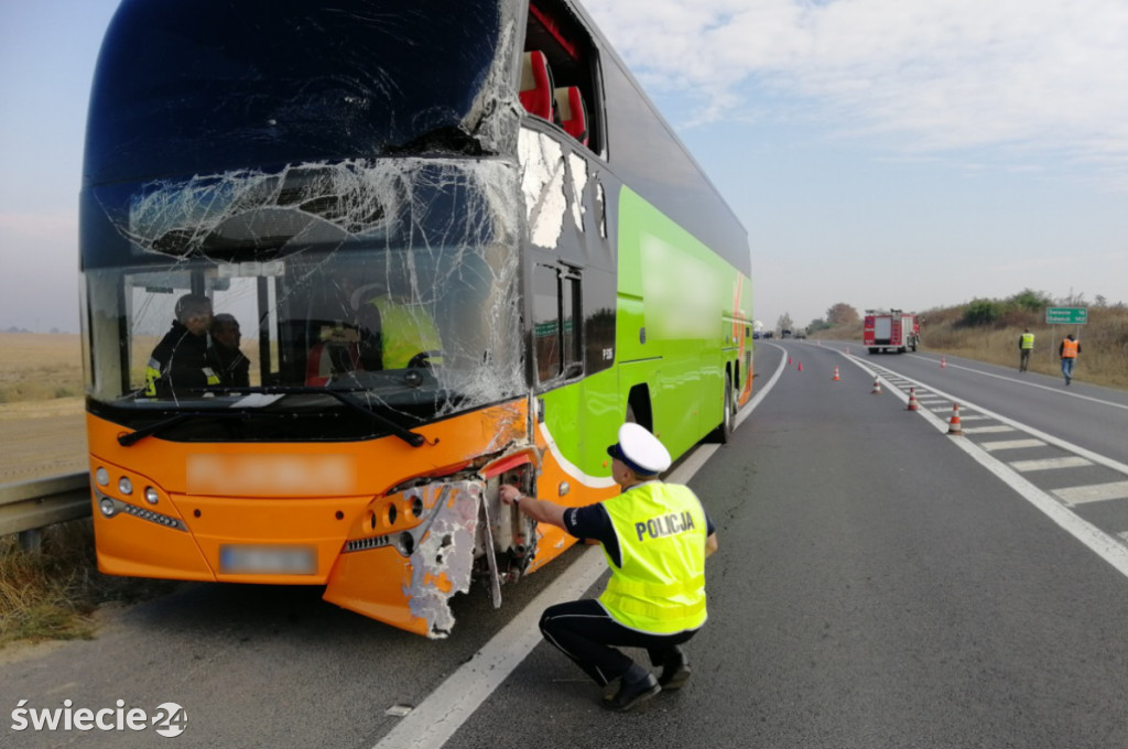 Groźny wypadek z udziałem autobusu