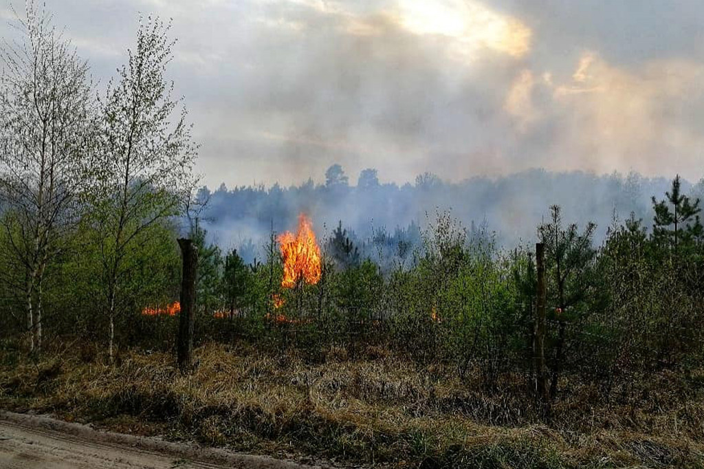 Spaliło się 40 hektarów lasu