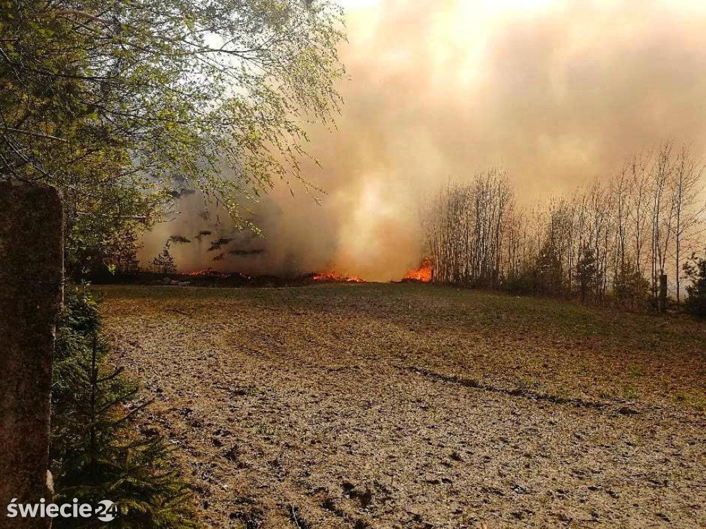 Spaliło się 40 hektarów lasu
