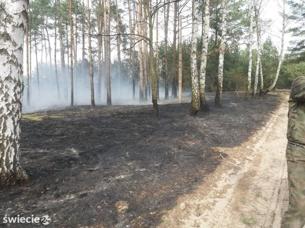 Spaliło się 40 hektarów lasu