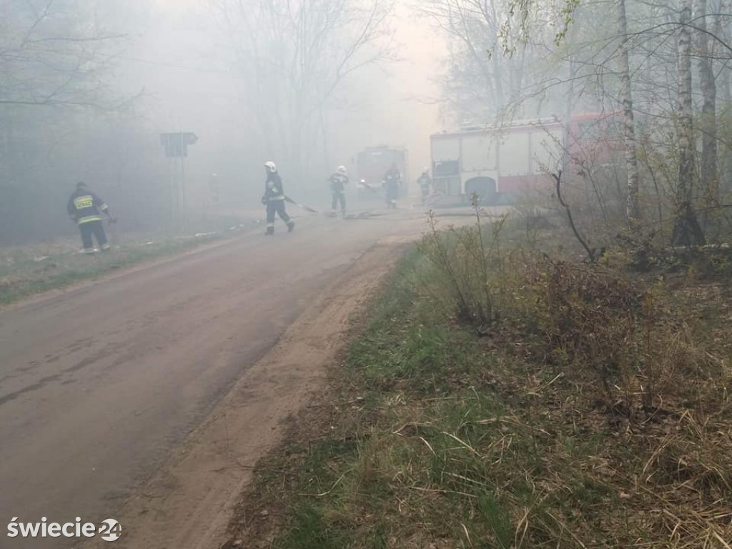 Spaliło się 40 hektarów lasu