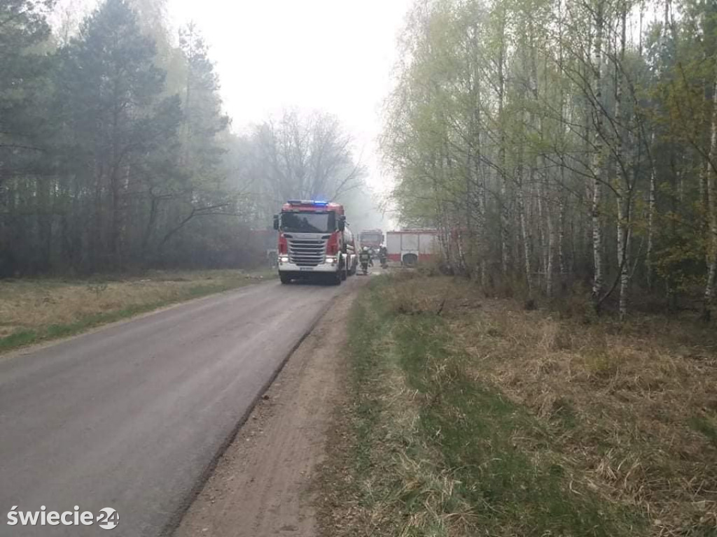 Spaliło się 40 hektarów lasu