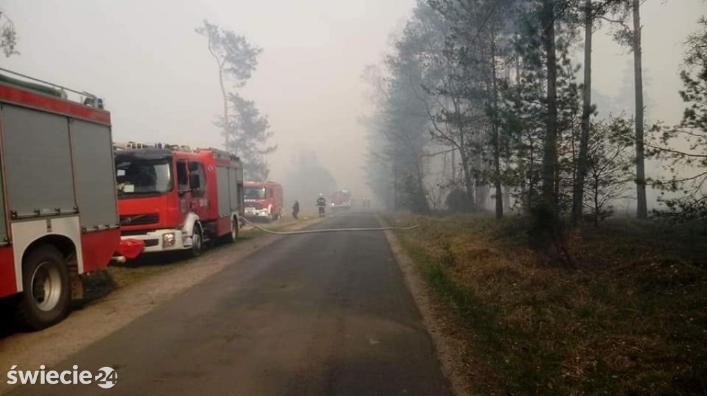 Spaliło się 40 hektarów lasu