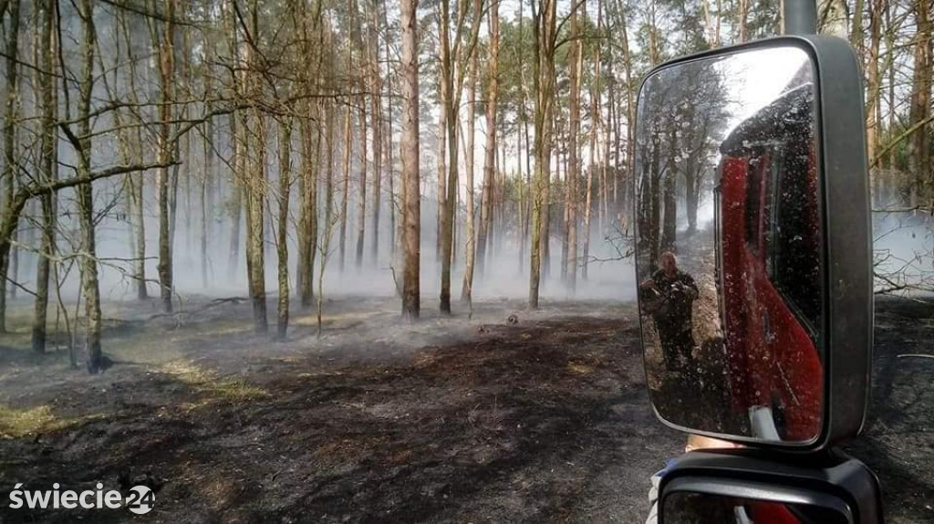 Spaliło się 40 hektarów lasu