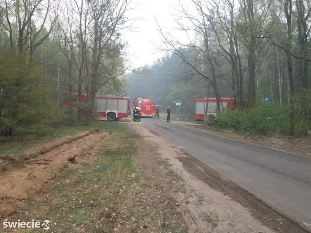 Spaliło się 40 hektarów lasu