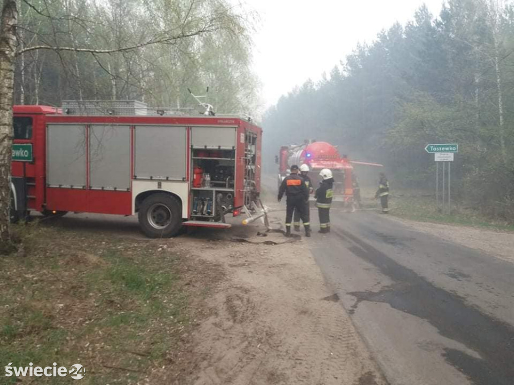 Spaliło się 40 hektarów lasu