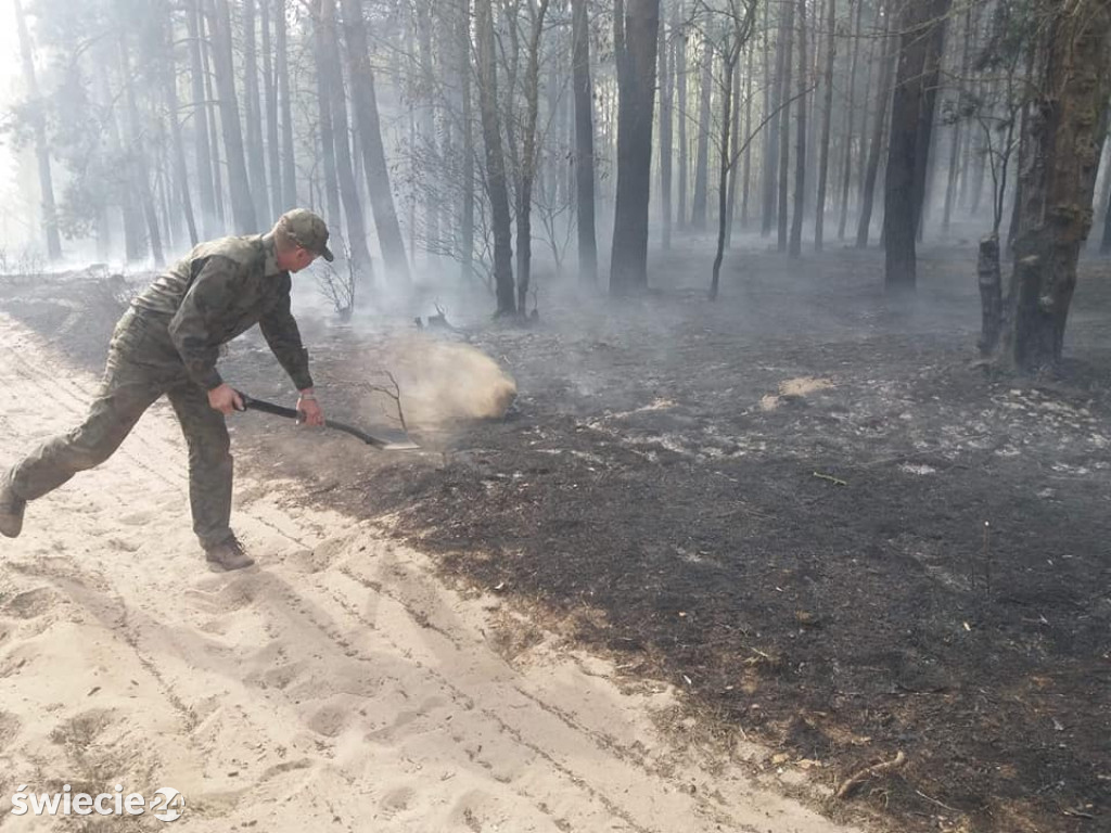 Spaliło się 40 hektarów lasu