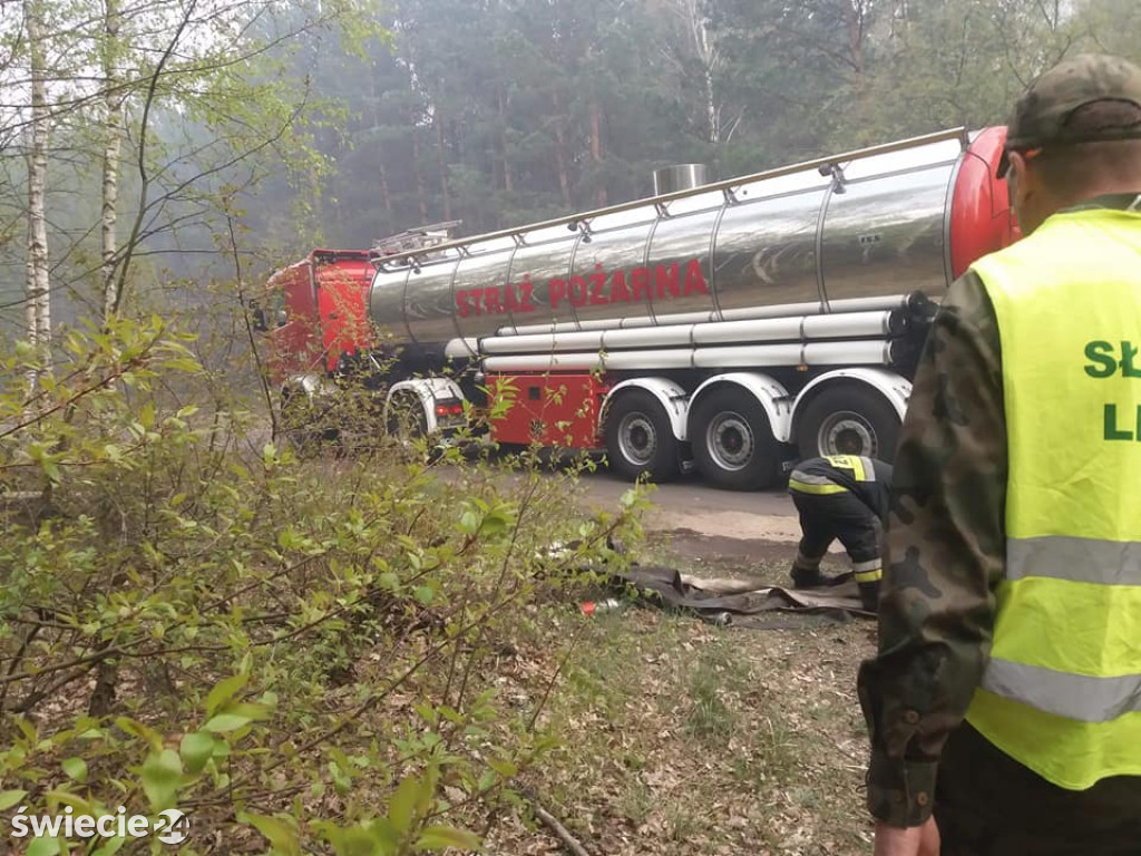 Spaliło się 40 hektarów lasu