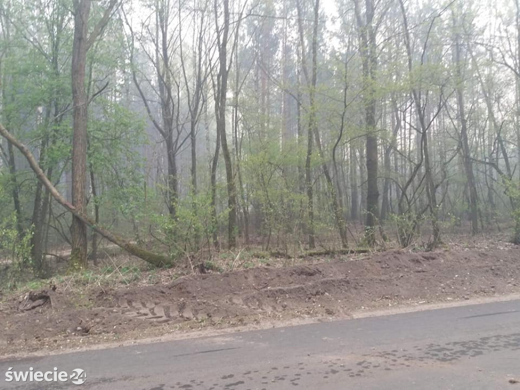 Spaliło się 40 hektarów lasu