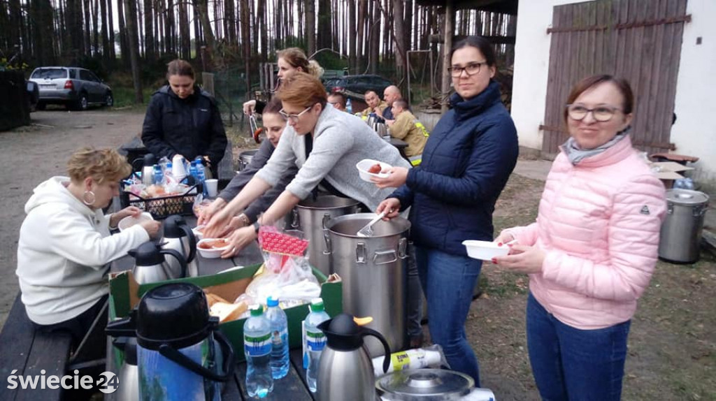 Po pożarze lasu w Dubielnie