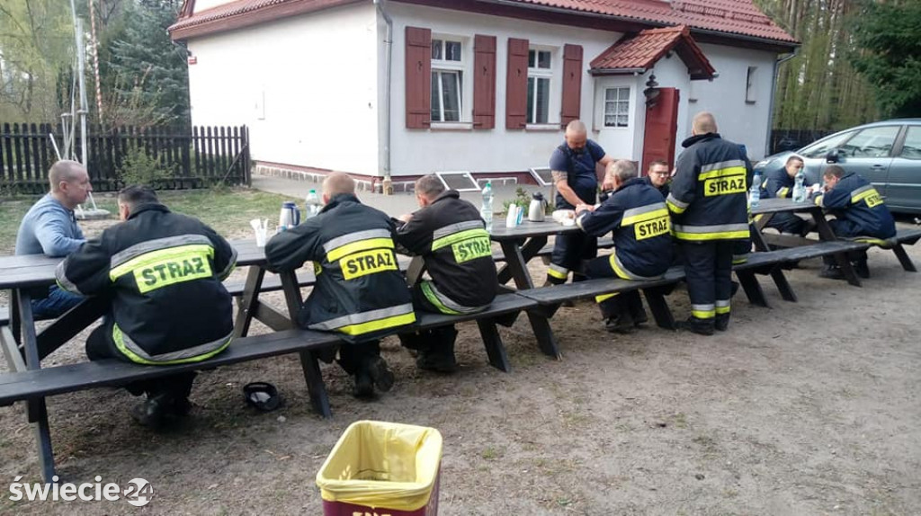 Po pożarze lasu w Dubielnie