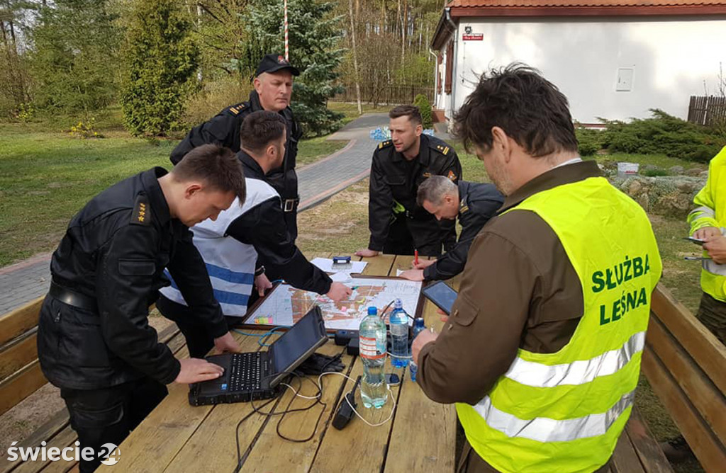 Po pożarze lasu w Dubielnie