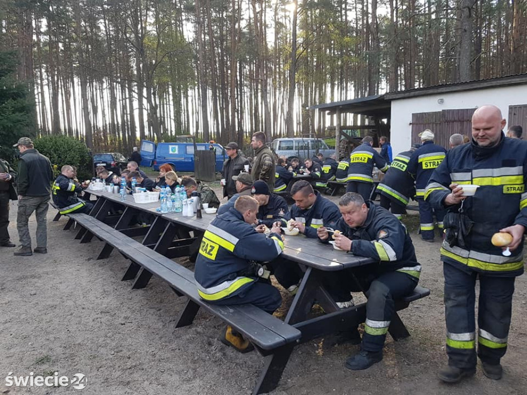 Po pożarze lasu w Dubielnie
