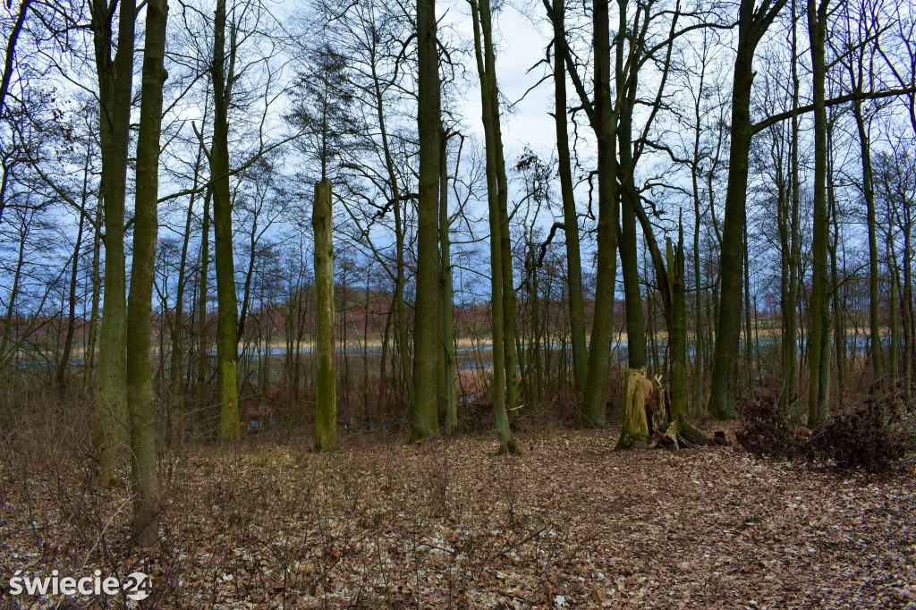 Park w Laskowicach