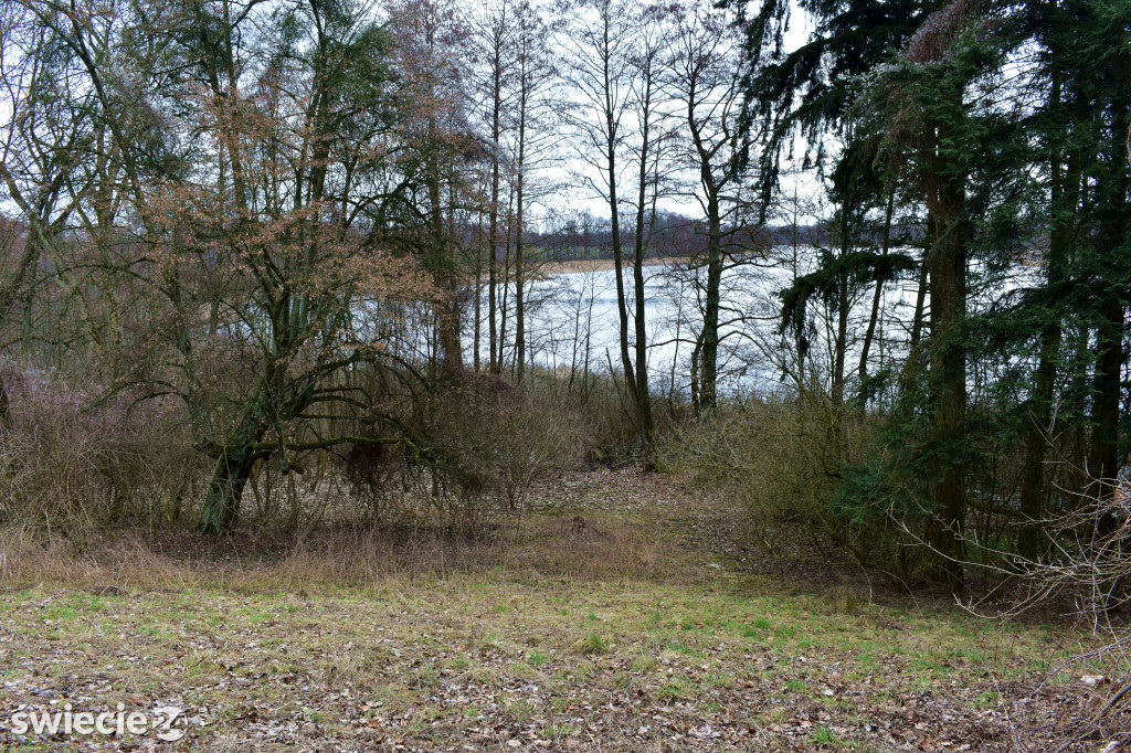 Park w Laskowicach