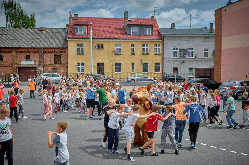 Naukowy piknik w SP 7