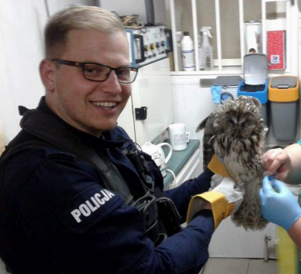 Policjanci z Osia uratowali sowę
