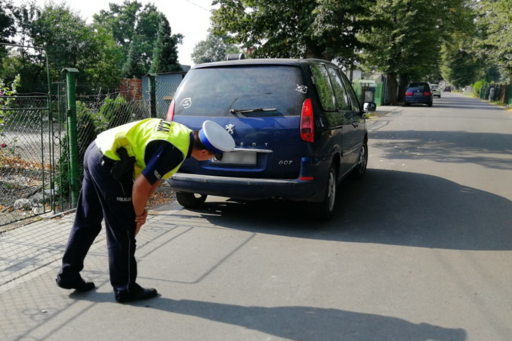Akcja SMOG w powiecie świeckim