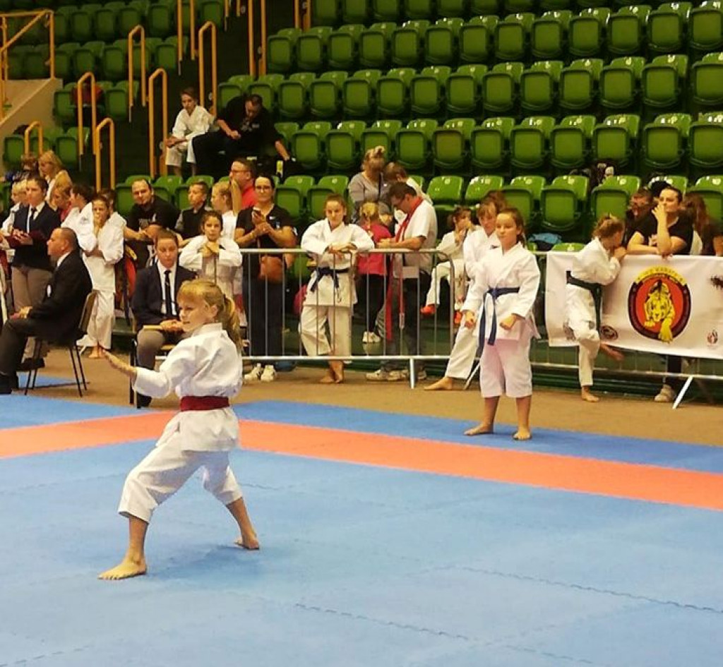 IV Ogólnopolski Turniej Karate SOLNO CUP