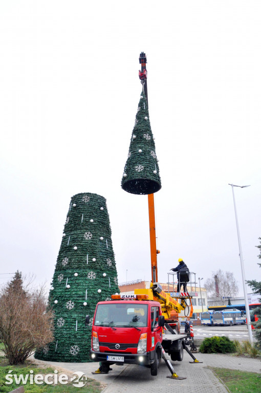 14-metrowa choinka zdobi miasto