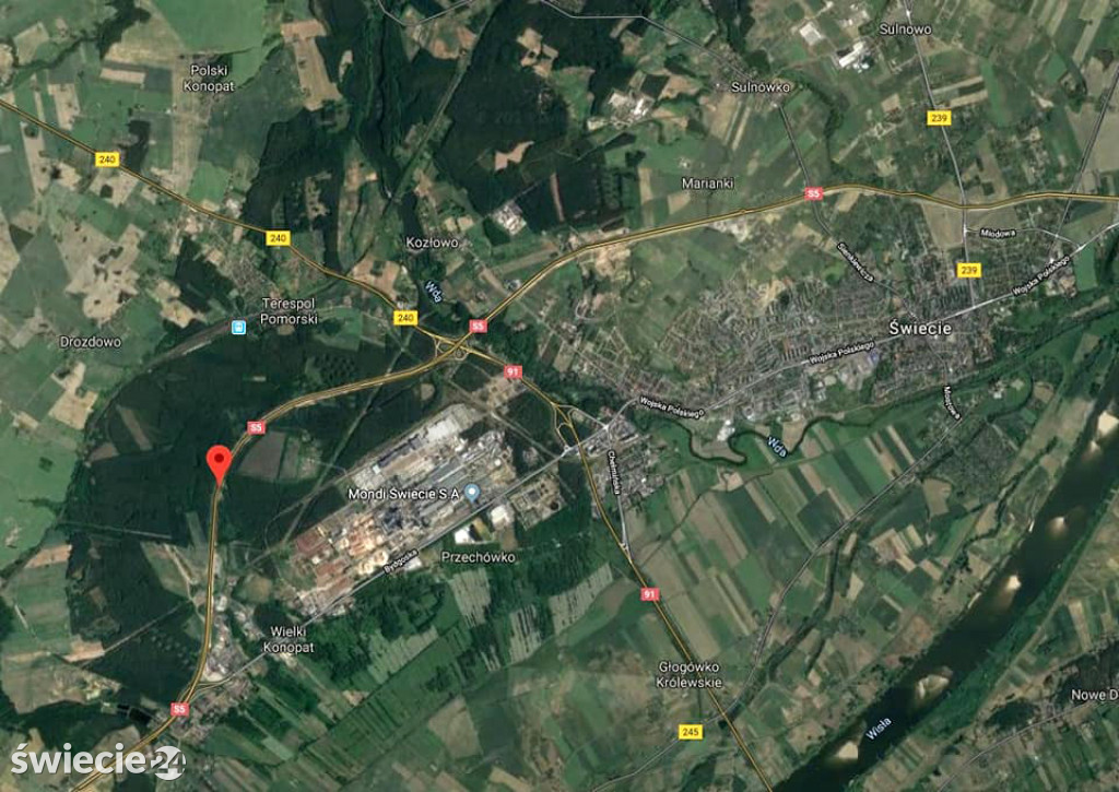 Leśnicy uratowali wilka potrąconego na obwodnicy
