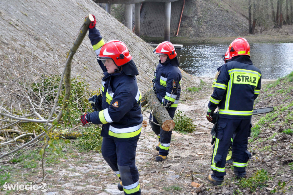 Strażacy usunęli drzewo pochylone nad zejściem